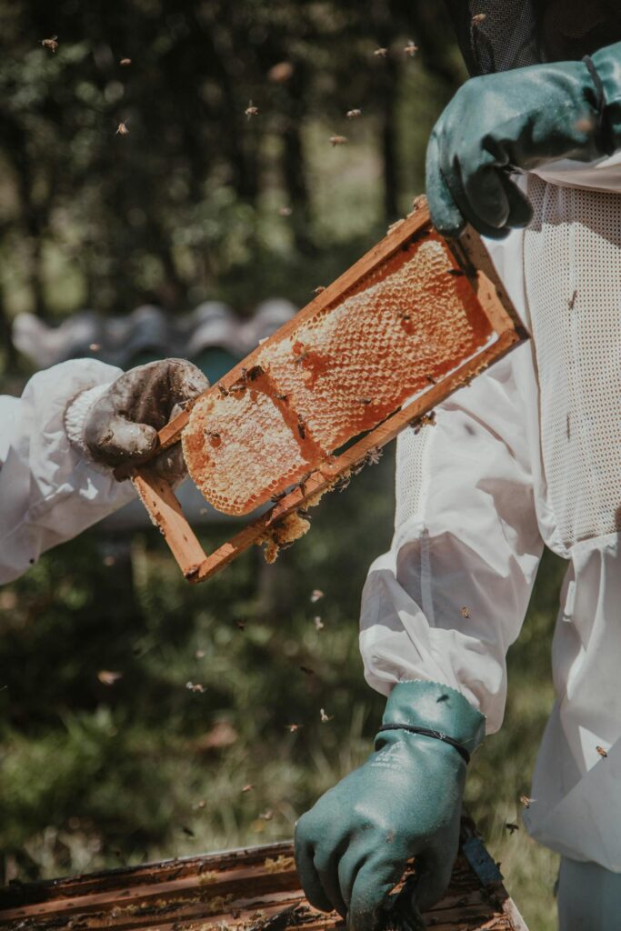 beekeeping